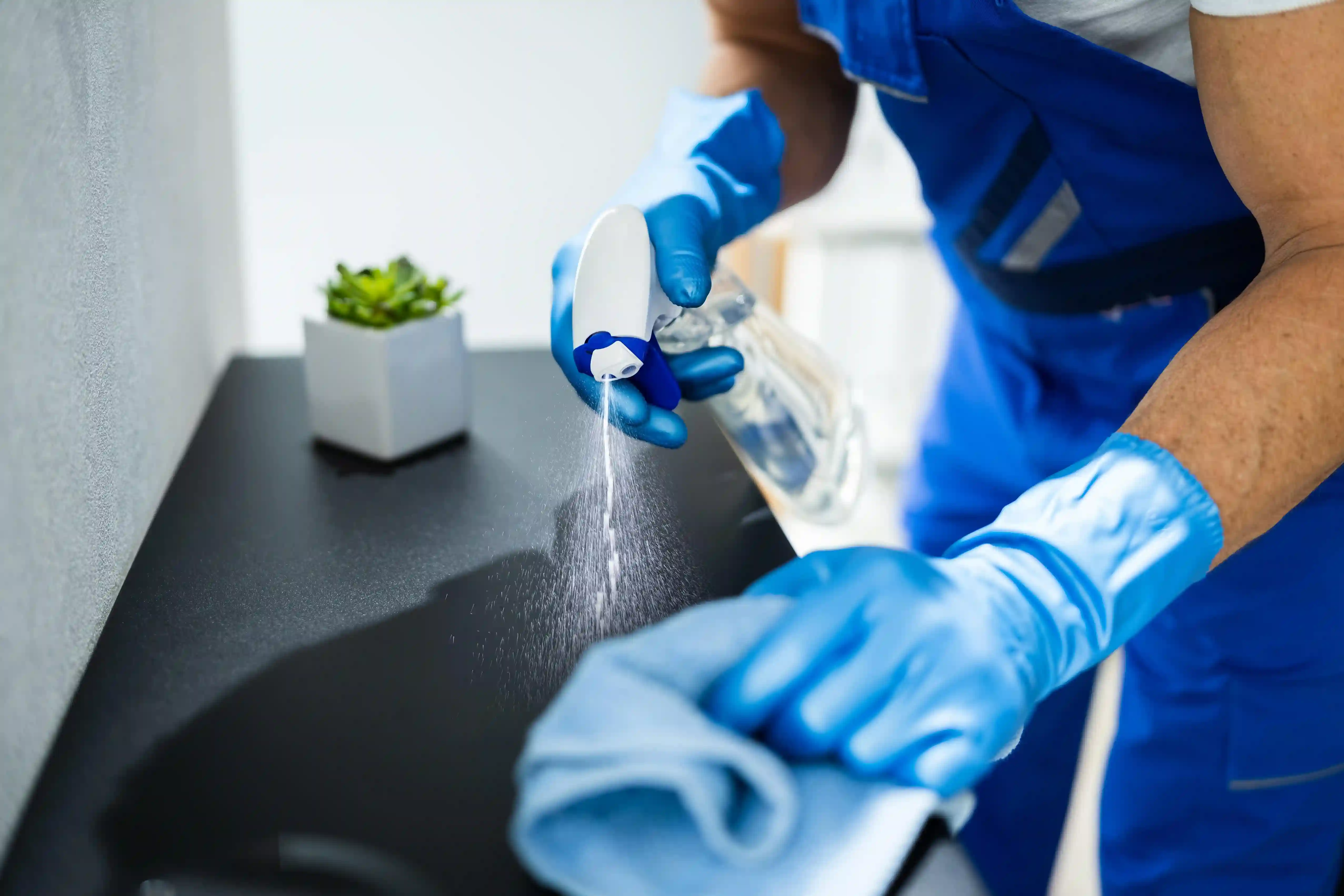 Home Cleaning Services